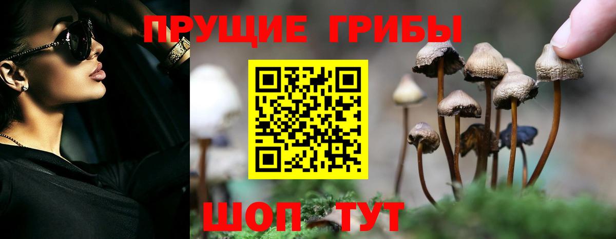 Галлюциногенные грибы мицелий  как найти закладки  Великий Устюг  Вход с VPN 